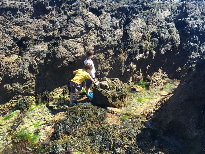 Pêche à pied à Guernesey, baie du Moulin Huet. (INGRID POHU / RADIO FRANCE)