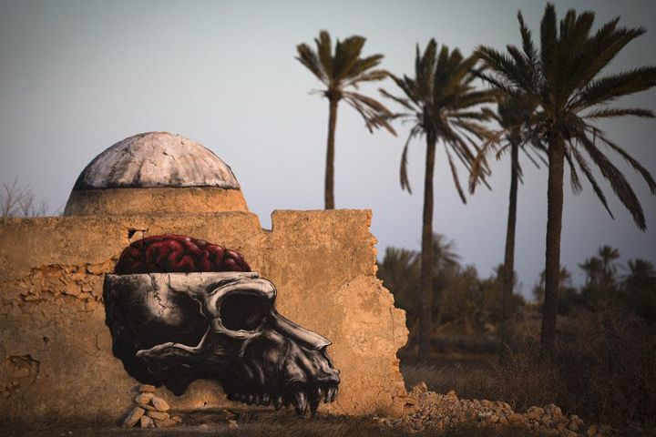 Street art par l'artiste belge ROA à Erriadh sur lîle tunisienne de Djerba
 (JOEL SAGET / AFP)