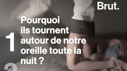 Pourquoi ils nous rendent fous la nuit, comment faire pour ne pas se faire piquer, est-ce que les "peaux à moustiques" existent vraiment...