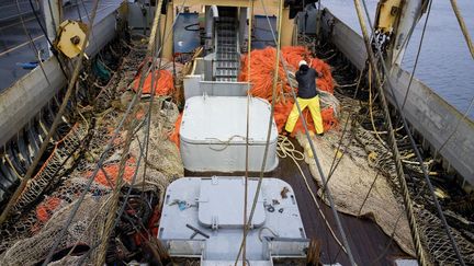 Un pêcheur sur le bateau de pêche néerlandais "TX-38 Branding IV" prépare les filets de pêche à impulsion électrique lors du départ du port de Den Helder (Pays-Bas), le 18 janvier 2018.&nbsp; (NIELS WENSTEDT / ANP / AFP)