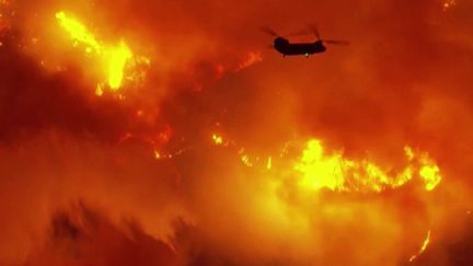 Incendies en Californie : Malibu sous la menace