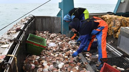 La pêche à la coquille Saint-Jacques à bord du navire "l'Aurore" sur le gisement de Saint-Malo, le 6 décembre 2021. (THOMAS BR?GARDIS / OUEST-FRANCE / MAXPPP)