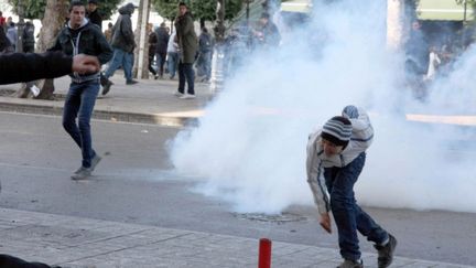 Affrontements entre manifestants et policiers &agrave; Tunis le 7 f&eacute;vrier 2013. (KHALIL / AFP)