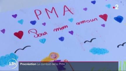 Le 13 Heures vous propose le témoignage d’une femme célibataire qui a eu deux enfants par PMA à l’étranger. L’adoption de cette loi en France serait pour elle un soulagement. (France 2)