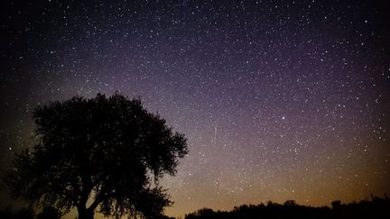 Une m&eacute;t&eacute;orite dans le ciel &eacute;toile de Salgotarjan (Hongrie), le 21 avril 2012. (PETER KOMKA / EPA / MAXPPP)