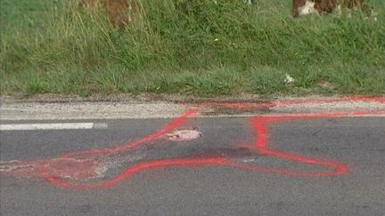 Huit personnes ont &eacute;t&eacute; bless&eacute;es, dont une gri&egrave;vement, et trois chevaux tu&eacute;s, dans des accidents de la route survenus apr&egrave;s que des b&ecirc;tes se soient &eacute;chapp&eacute;es d'un festival &eacute;questre, samedi 10 ao&ucirc;t,&nbsp;dans le Doubs.&nbsp; (DENIS COLLE / FRANCE 3 FRANCHE-COMTE)