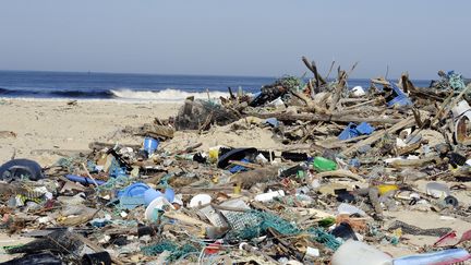 La plage de Mimizan (Landes) recouverte de d&eacute;chets apr&egrave;s les grandes mar&eacute;es, le 7 mars 2014. (JEAN-PIERRE MULLER / AFP)