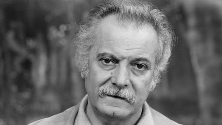 Georges Brassens a inspiré de nombreux hommages. (JACQUES CHEVRY / INA)