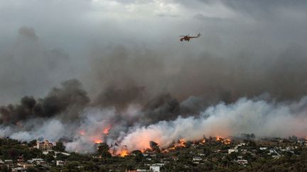 Un incendie près de Rafina, proche d'Athènes, en Grèce, le 23 juillet 2018.&nbsp; (ANGELOS TZORTZINIS / AFP)