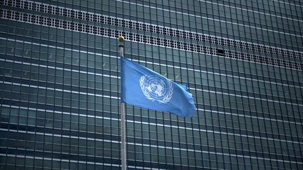 Violences sexuelles : l'ONU tergiverse