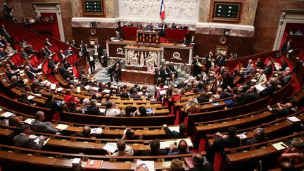 S&eacute;ance de questions au gouvernement &agrave; l'Assembl&eacute;e nationale, le 23 juillet 2013. ( MAXPPP)