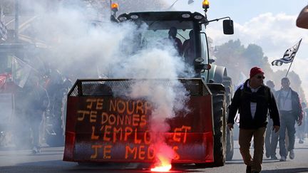 Dans le nuage des fumig&egrave;nes, des manifestants arrivent pr&egrave;s de la place de la Nation. (  MAXPPP)