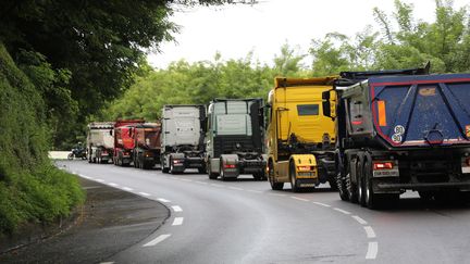 Des camions en Martinique, le 24 septembre 2024. (ROBIN PRUDENT / FRANCEINFO)