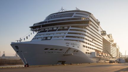 Le MSC Grandiosa dans le port d'Hambourg le 10 novembre 2019. (CHRISTIAN CHARISIUS / DPA)