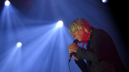 Renaud sur scène à l'occasion de la 41e édition du Printemps de Bourges, le 18 avril 2017.&nbsp; (GUILLAUME SOUVANT / AFP)