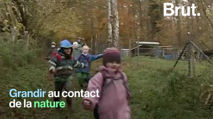 Une étude danoise révèle que les enfants qui grandissent à proximité de la nature ont moins de risques de développer des troubles mentaux lorsqu'ils seront adultes.