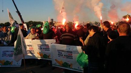 &nbsp; (Les agriculteurs qui ont manifesté place de la Concorde à Paris © RF-Lorrain Sénéchal)