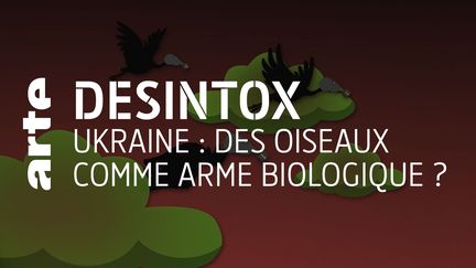 Désintox. Non l'Ukraine n'utilise pas d'oiseaux migrateurs comme arme biologique (ARTE/2P2L)