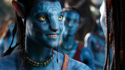 Sc&egrave;ne tir&eacute;e du film "Avatar", r&eacute;alis&eacute; par James Cameron et sorti en 2009. (KOBAL / THE PICTURE DESK / AFP)