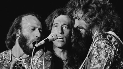 Les Bee Gees en 1979 à Miami Beach
 (Phil Sandlin/AP/SIPA)