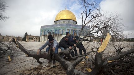 Des Palestiniens d&eacute;gagent un arbre abattu par une temp&ecirc;te sur le parvis de la mosqu&eacute;e al-Aqsa &agrave; J&eacute;rusalem (Isra&euml;l), le 7 janvier 2013. (AHMAD GHARABLI / AFP)