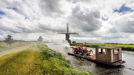 Aux Pays-Bas, l'été, les digues sont régulièrement arrosées pour éviter qu'elles ne se fissurent à cause de la sécheresse. (KOEN VAN WEEL / MAXPPP)