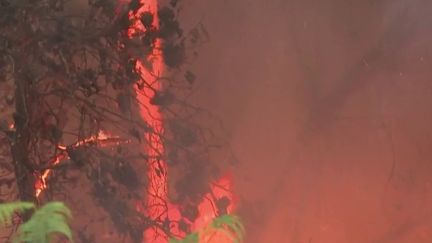 Incendies en Gironde : les pompiers toujours sur le front à Landiras