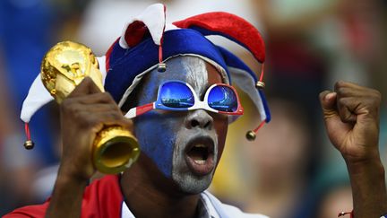 &nbsp; (Un supporter des Bleus dans les tribunes du stade de Salvador avant le début de Suisse-France © Reuters)