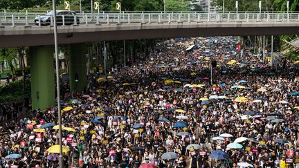 Des&nbsp;manifestants dans les rues de Hong Kong, le 21 juillet 2019. (LAUREL CHOR / AFP)