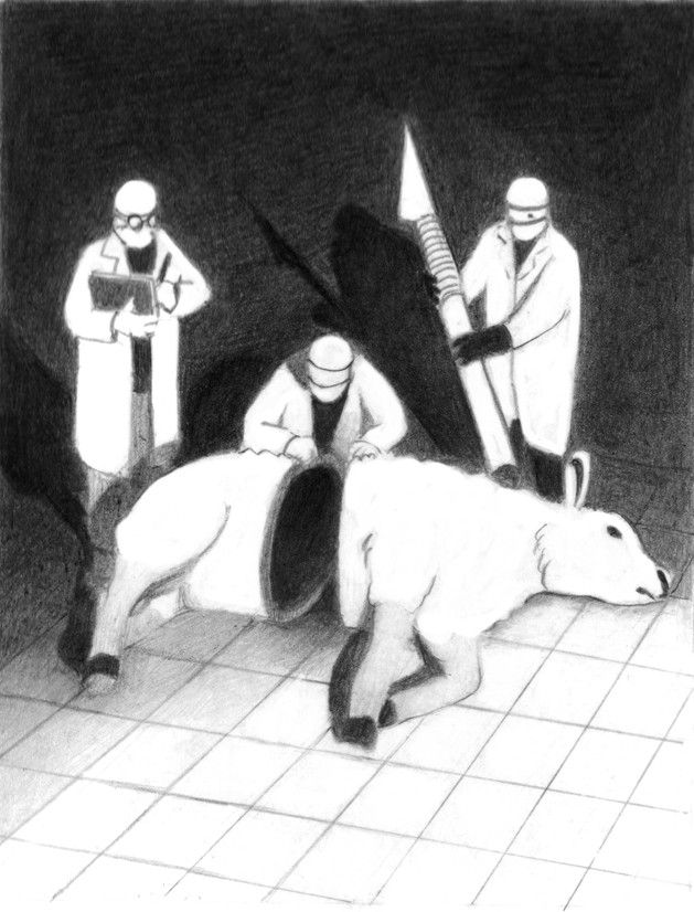 Antoine Maillard, « Cruelty to Animals », 2015, dessin illustrant l’article Outrage: Cruelty at a U.S. Meat Lab paru dans The New York Times le 23 janvier 2015. Crayon graphite sur papier, 17,3 × 14 cm. Collection de l’artiste 
 (Antoine Maillard)