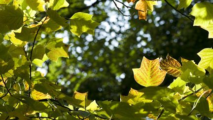 Découverte : promenade d'automne dans les Hautes-Alpes