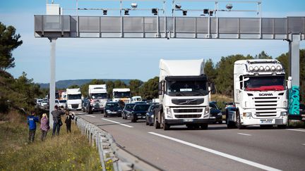 Des chauffeurs de poids lourds protestent contre l'&eacute;cotaxe &agrave; Ch&acirc;teauneuf-les-Martigues (Bouches-du-Rh&ocirc;ne), le 9 novembre 2013. (BERTRAND LANGLOIS / AFP)