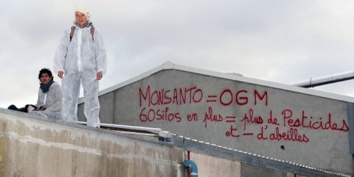 Manifestants anti-OGM sur le toit d'une implantation Monsanto à Trèbes, dans le sud-ouest de la France, le 15 avril 2013. (ERIC CABANIS / AFP)