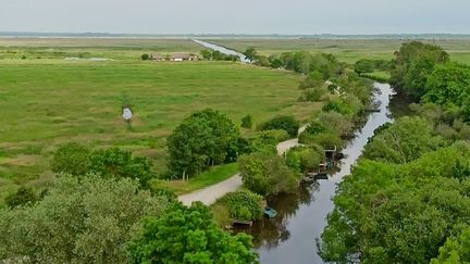 13h en week-end : à la découverte des marais de la Brière