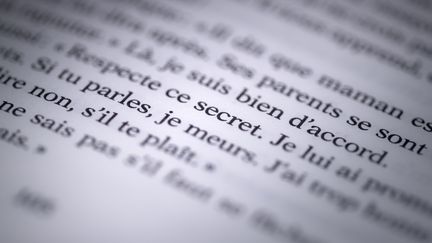 Un extrait du livre de Camille Kouchner paru jeudi 7 janvier, "La Familia grande", où elle dénonce le viol de son frère jumeau par leur beau-père, le politologue Olivier Duhamel.&nbsp; (JOEL SAGET / AFP)