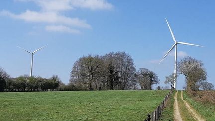 Eoliennes dans la Creuse (illustration). (VALÉRIE MENUT / FRANCE BLEU CREUSE / RADIO FRANCE)