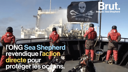 L'ONG Sea Shepherd France a un combat : protéger les océans, par tous les moyens. Engagé à ses côtés depuis 2012, Laurent Buckley explique son engagement.