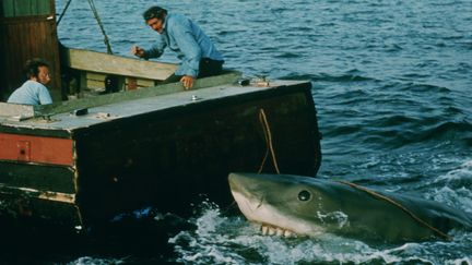 Hooper (Richard Dreyfuss) et Quint (Robert Shaw) aux prises avec le redoutable requin.
 (Zuma Press / MaxPPP)