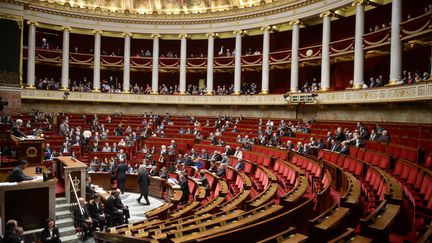 L'hémicycle de l'Assemblée nationale, à Paris, le 26 février 2014. (MARTIN BUREAU / AFP)