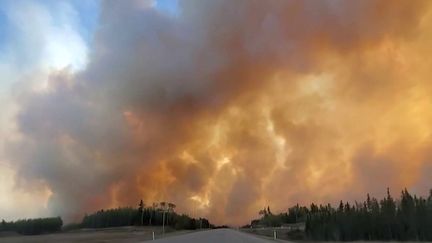 Dans l'Alberta, à l'ouest du Canada, 122 000 hectares de forêt ont été brûlés par 110 incendies, selon un bilan du dimanche 7 mai. Au total, 25 000 habitants ont dû quitter leur domicile. (FRANCEINFO)