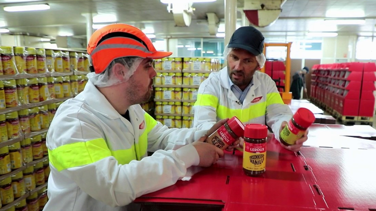 Nord : une entreprise relance la production de chicorée