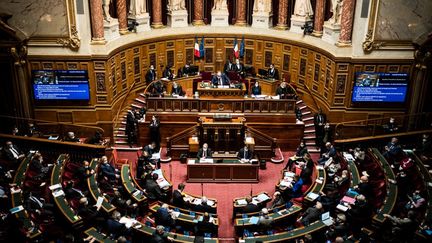 Les sénateurs siègent au palais du Luxembourg, le 10 février 2021. (XOSE BOUZAS / HANS LUCAS / AFP)