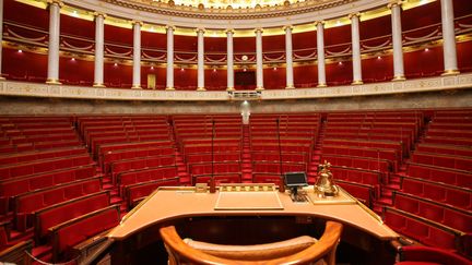 L'hémicycle de l'Assemblée nationale. (PHOTO12 / GILLES TARGAT / AFP)