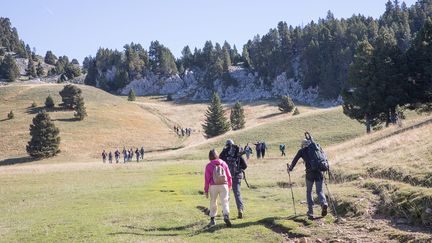 La réserve naturelle des hauts-plateaux du Vercors. (FABRICE ANTERION / MAXPPP)