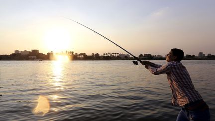 Un pêcheur égyptien sur le Nil, au large du Caire, le 18 novembre 2014. Le Nil demeure la base de presque toutes les activités productives en Egypte. (Photo Reuters/Mohamed Abd El Ghany)