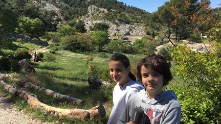 En route vers le mont Gaussier dans les Alpilles. (INGRID POHU / RADIO FRANCE)