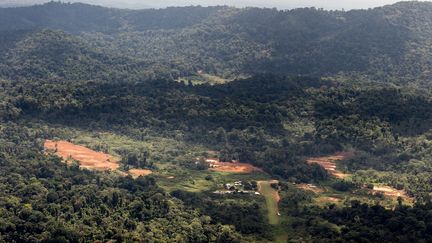 Le camp de base du projet Montagne d'or, en Guyane, en pleine forêt amazonienne, le 12 octobre 2017. (JODY AMIET / AFP)