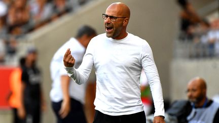 L'entraîneur hollandais Peter Bosz durant le match de Ligue 1 entre le Stade de Reims et l'Olympique Lyonnais, le 28 août 2022.&nbsp; (FRANCOIS LO PRESTI / AFP)