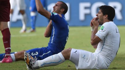 L'Uruguyen Luis Suarez (droite) pr&eacute;tend s'&ecirc;tre bless&eacute; &agrave; la bouche apr&egrave;s avoir mordu &agrave; l'&eacute;paule l'Italien Giorgio Chiellini (gauche), lors de la Coupe du Monde de football au Br&eacute;sil, le 24 juin 2014. L'attaquant a &eacute;t&eacute; suspendu neuf matchs pour son geste. (XINHUA / SIPA)