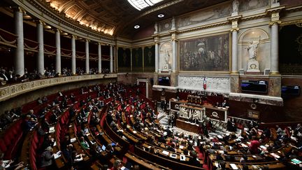 L'Assemblée nationale pendant les questions au gouvernement, le 19 décembre 2018 à Paris. (PHILIPPE LOPEZ / AFP)